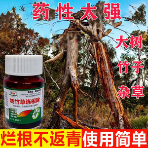 树枯死药除树剂灭树粉烂根剂强力专用药除草竹子腐蚀烂杀树烂根药