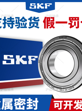 SKF进口轴承6300 6301 6302 6303 6304 6305 6306-2Z RSH高速静音