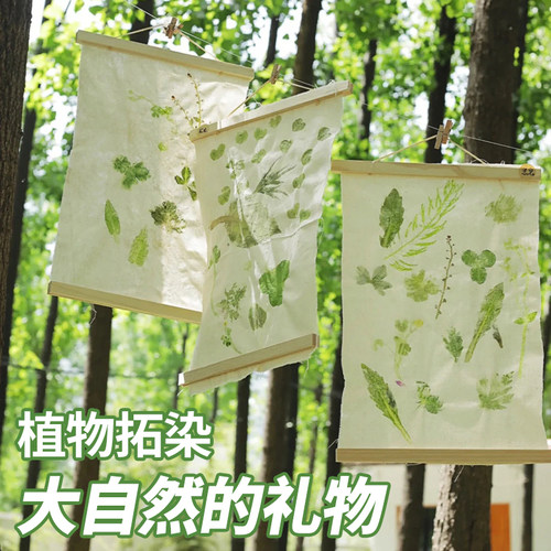植物拓染拓印布幼儿园手绘涂鸦