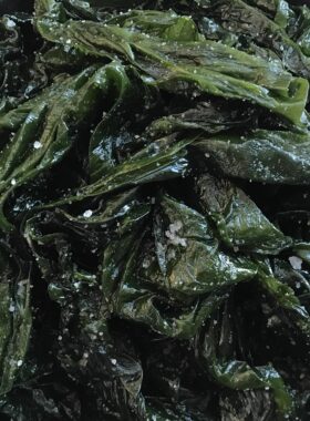 海带半干货新鲜薄嫩凉拌菜海带