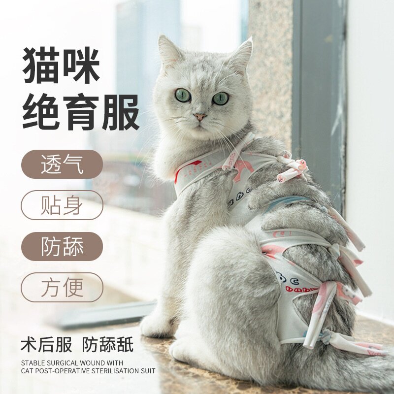 猫咪绝育服母猫衣服透气戒奶服断奶服公猫术后防舔宠物猫猫手术服