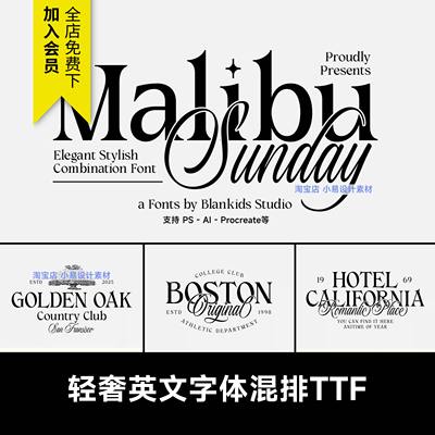 轻奢质感英文混排字体安装包Y2K潮流简约字库PSProcreate设计素材