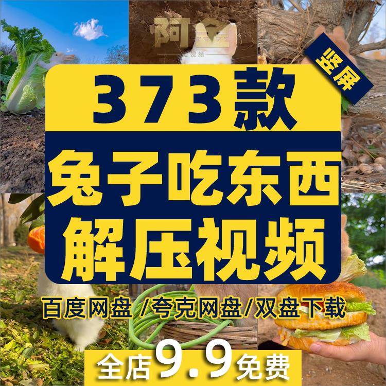 竖屏兔子吃东西食物美食动物宠物国外高清解压短视频小说推文素材