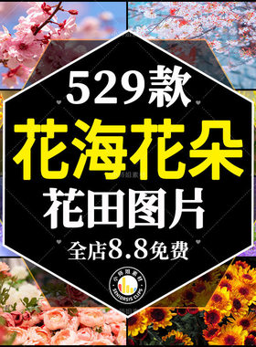 高清花朵花海花田花卉jpg风景抖音绿幕直播间led背景图片拍摄素材