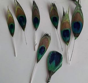 小孔雀羽毛眼睛上浆羽毛饰品耳坠点翠工艺材料DIY仿点翠配件胸针