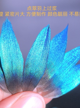 点翠DIY材料孔雀鹦鹉蓝片精选翠色上浆过羽稀有珠宝首饰花丝镶嵌