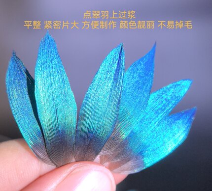 点翠DIY材料孔雀鹦鹉蓝片精选翠色上浆过羽稀有珠宝首饰花丝镶嵌