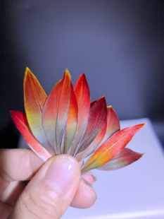 稀有特色羽毛手工艺DIY材料耳饰发簪上浆鹦鹉材料高端定制点翠款