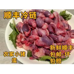 重庆荣昌猪农家猪小蛋猪睾丸阉割新鲜猪唠唠顺丰冷链配送损坏包赔