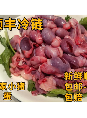 猪小蛋猪睾丸新鲜猪蛋重庆荣昌
