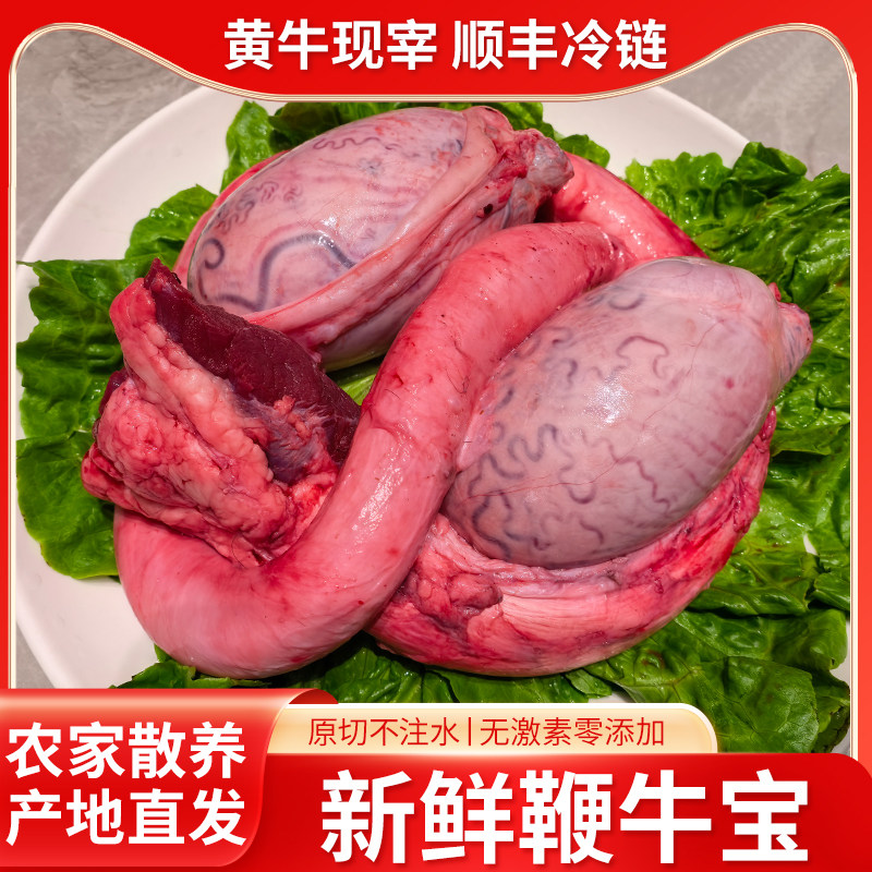 新鲜牛鞭整根黄牛牛鞭牛蛋三件套冷冻散养黄牛顺丰包邮牛宝牛蛋
