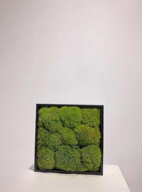 金属黑色方形永生苔藓盆景  样板房酒店玄关床头柜桌面装饰花