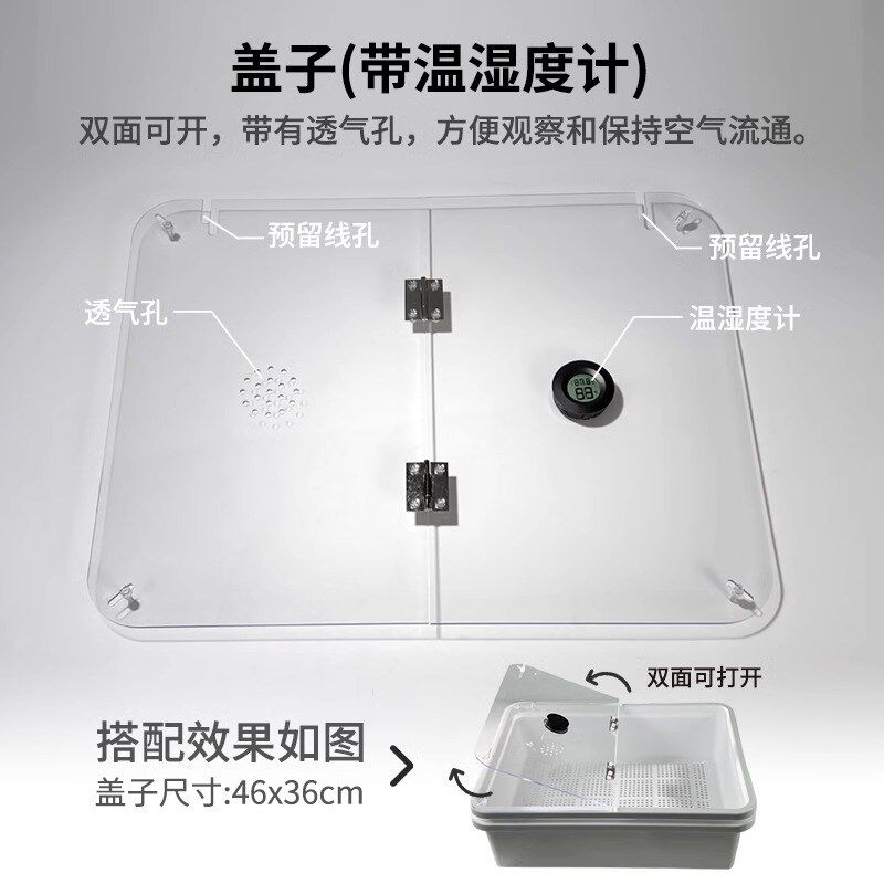 龟缸过滤乌龟苗箱保温粪便分离发色隔离盒家用专用箱生态龟缸带盖