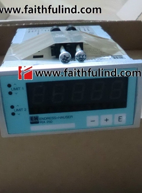 E+H RIA250-A11G11 恩德斯豪斯全新现场显示仪 RIA 250