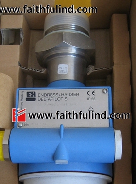 E+H DB50-AC10BA12EG10 恩德斯豪斯静压液位计 DB50 DELTAPILOT S