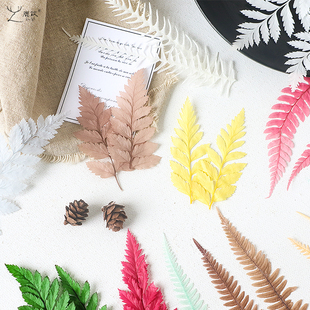 永生花蕨类叶子植物配叶手工diy羊齿叶装饰材料包ins自然叶子整包