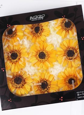 日本大地农园永生花DIY材料非洲菊扶郎花03170太阳花9朵装5色可选