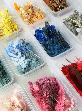 永生花材料包干花节日手工diy花艺相框贴画叶子滴胶浮游瓶花材包