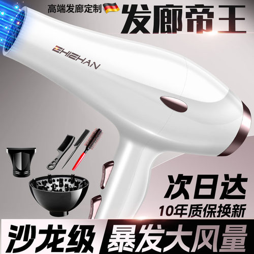 德国家用电吹风机3000W大风力