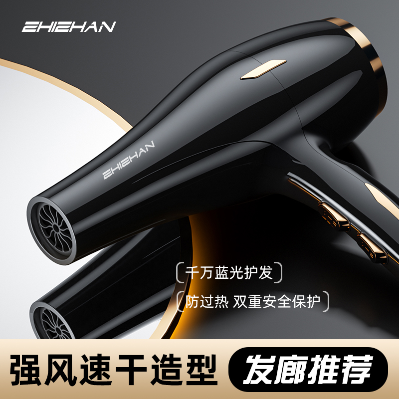德国吹头发电吹风机家用负离子护发静音速干3000W大风力男士专用