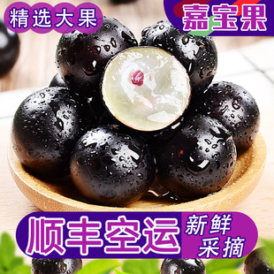 嘉宝果鲜果树葡萄新鲜水果孕妇养颜果稀有罕见高端珍宝果顺丰包邮