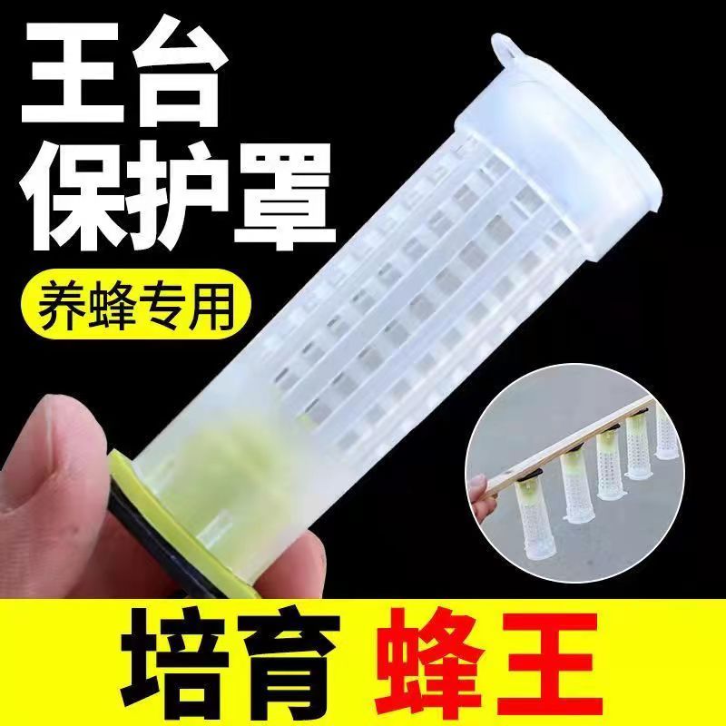 王台保护器蜂王育王幼虫防咬