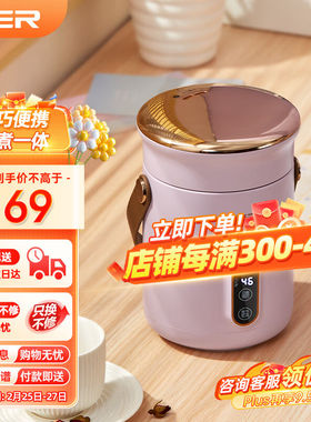 TER电炖锅电炖盅隔水炖炖汤煲汤煮粥神器燕窝炖盅便携家用小炖锅