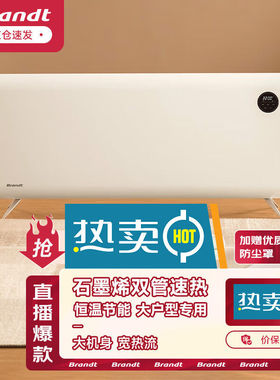 白朗（Brandt）白朗电暖器气片客厅取暖器家用大面积暖风机智能恒