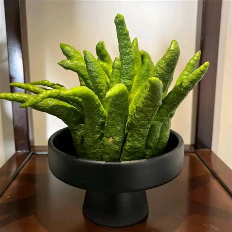 采购产品佛手柑装饰品客厅展示香盘装饰简单托盘锅容器陶瓷花瓶