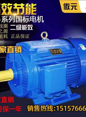 三相异步电动机YE4系列电机全铜国标YE4-180L-4极22KW电机380V