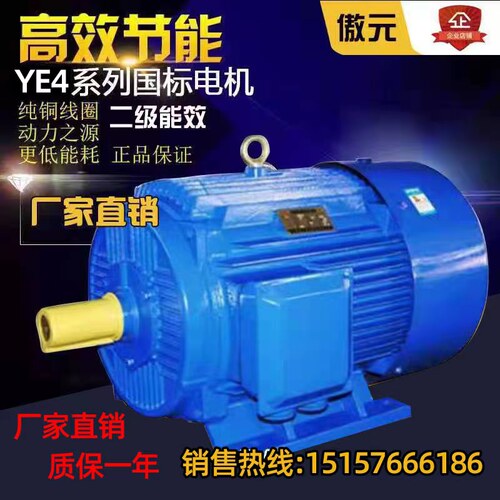 三相异步电动机YE4系列电机全铜国标YE4-180L-4极22KW电机380V