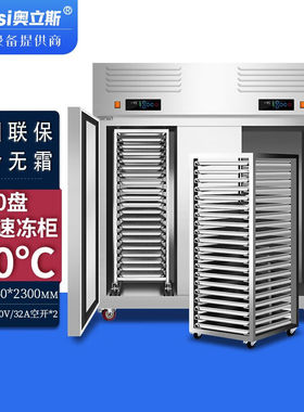 奥立斯插盘冰柜风冷无霜深冷速度机-45℃冷冻慕斯面团水饺包子油