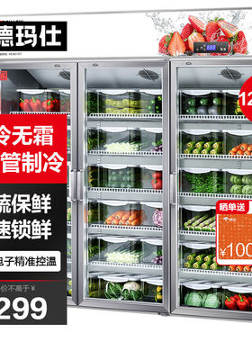 德玛仕大容量玻璃冷藏保鲜展示柜冷鲜花蔬菜水果啤酒点菜保鲜柜陈