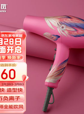 火之凤吹风机理发店专用电吹风筒负离子2400W大功率发廊大风力速