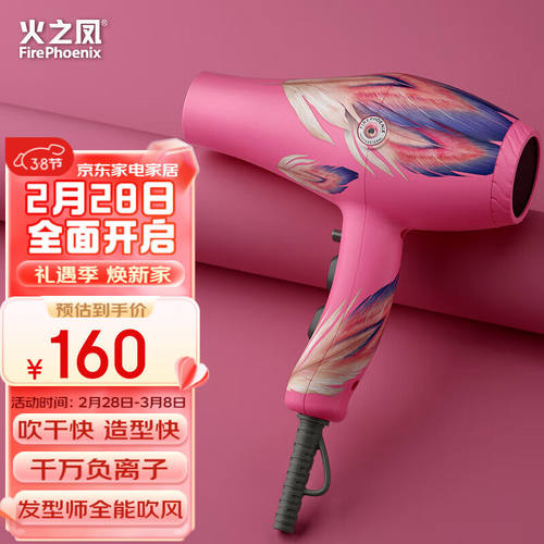火之凤吹风机理发店专用电吹风筒负离子2400W大功率发廊大风力速