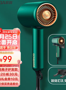 廣霸（GUANGBA）电吹风机家用大功率负离子护发大风力不伤发孕妇