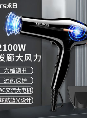 永日（yongri）酷炫蓝光电吹风机大功率2100W专业大风力发廊家用