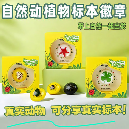 千千谷树脂昆虫植物标本徽章