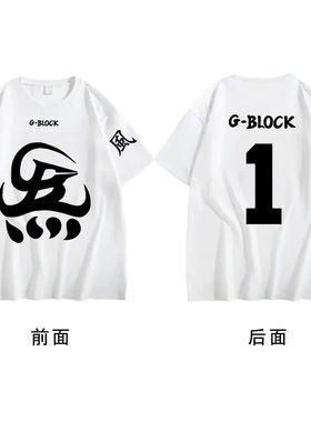 GBLOCK联名CYPHER专辑盛宇功夫胖刘聪gai演唱会团服印花短袖T恤夏