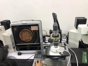 KEYENCE 小胖 基恩士VHX 500超景深工业3D测量显微镜镜头可选议价