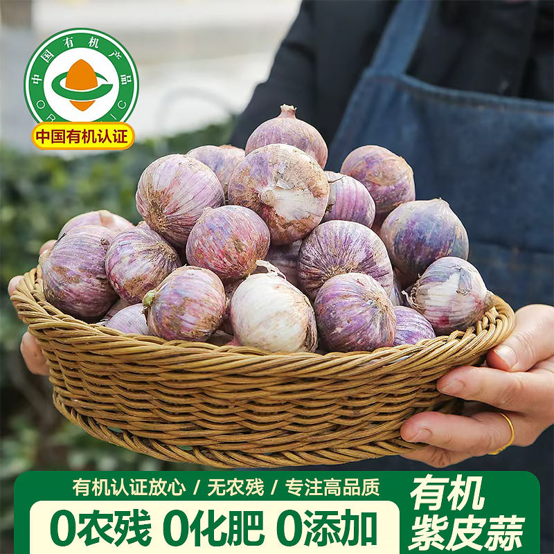 云南有机紫皮独头蒜新鲜大蒜头红皮干蒜现挖直发出口标准果干大蒜