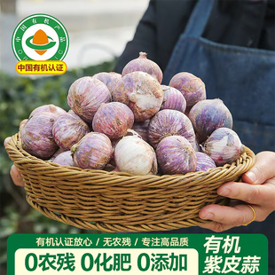 云南有机紫皮独头蒜新鲜大蒜头红皮干蒜现挖直发出口标准果干大蒜