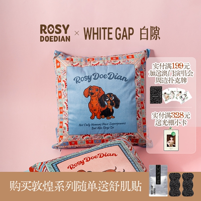 露思同款敦煌纹样抱枕居家沙发