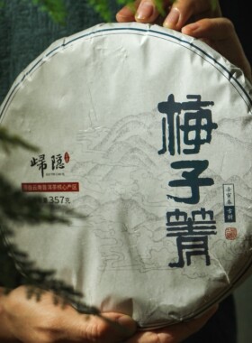 梅子箐古树】 2022年临沧永德梅子箐古树头春普洱茶生茶 357g茶饼