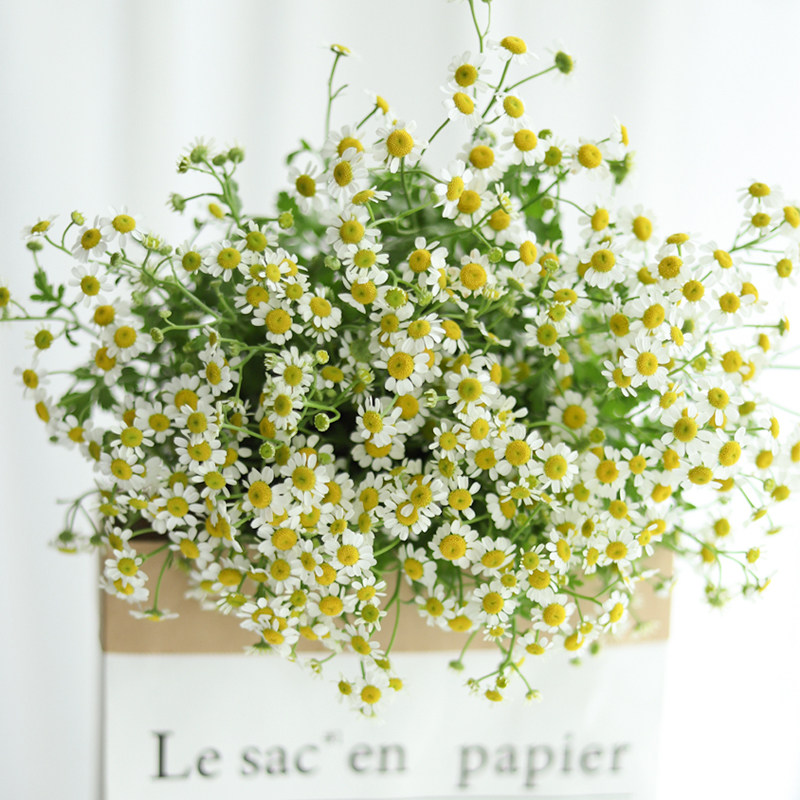 鲜花花束洋甘菊鲜花云南昆明基地直发鲜切花小花束顺丰包邮