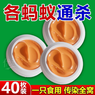 蚂蚁克星 强效蚂蚁药全窝端家用非无毒厨房室内饭店灭蚁方便贴