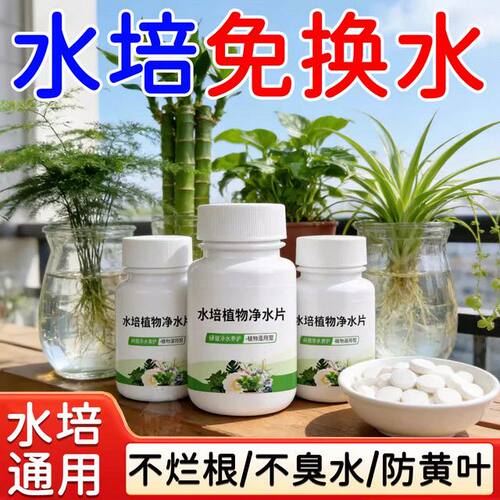 爆根】富贵竹专用净水片水培植物净水片防水发臭黄叶促生根保鲜片