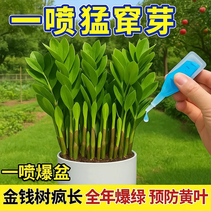 植物再生剂复活液通用营养液绿植多肉花卉光杆修复发黄生长加速,鲜花速递/花卉仿真/绿植园艺,家庭园艺肥料,淘宝优惠券,粉丝福利购,淘宝优惠卷