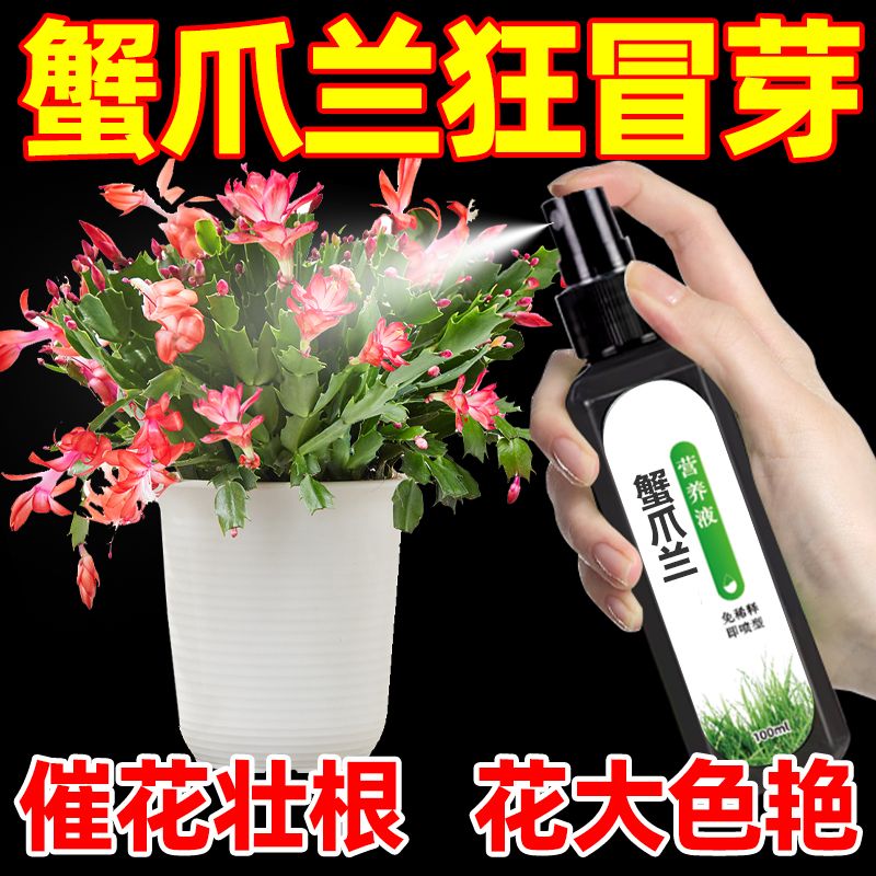 【急救软烂】蟹爪兰急救发蔫软烂去黄叶开花壮根液体肥专用营养液