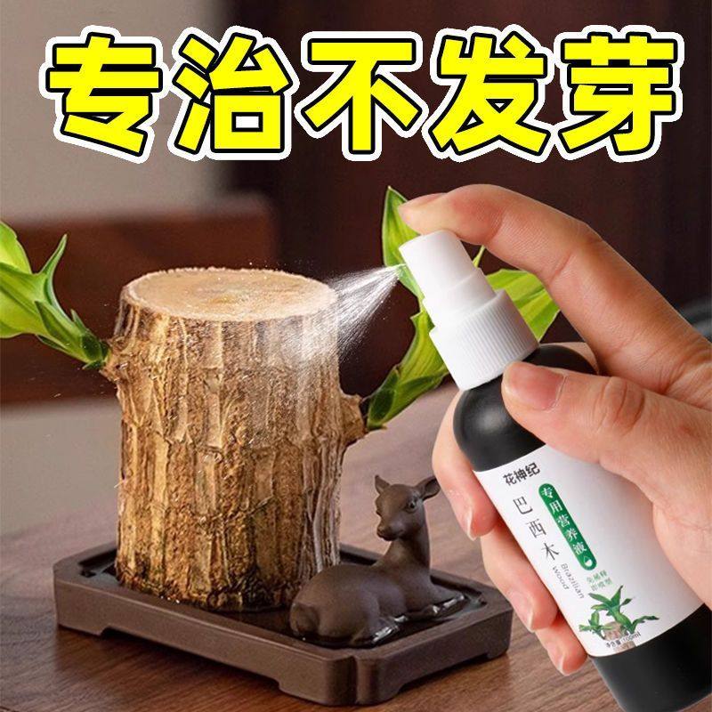 巴西木营养液专用肥料幸运木水培促爆芽防黄叶底部发霉生根液体肥,鲜花速递/花卉仿真/绿植园艺,家庭园艺肥料,淘宝优惠券,粉丝福利购,淘宝优惠卷